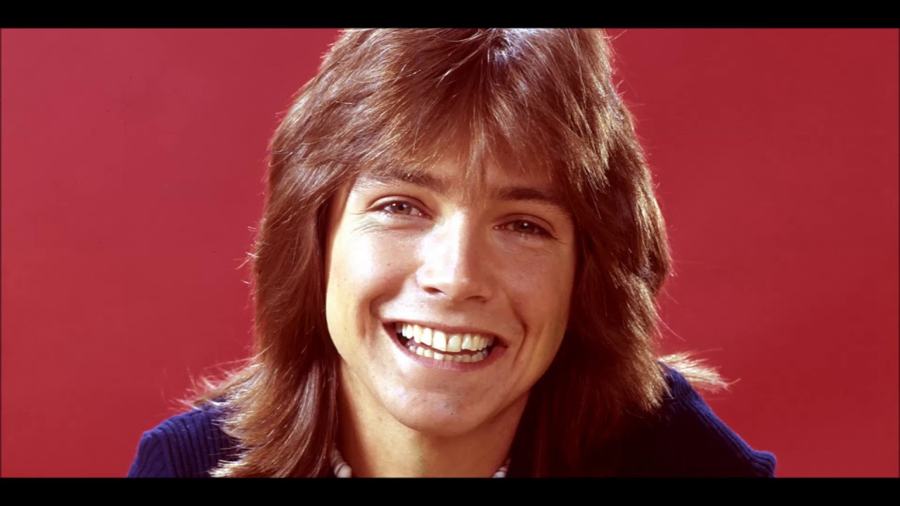 David Cassidy - Night and Day