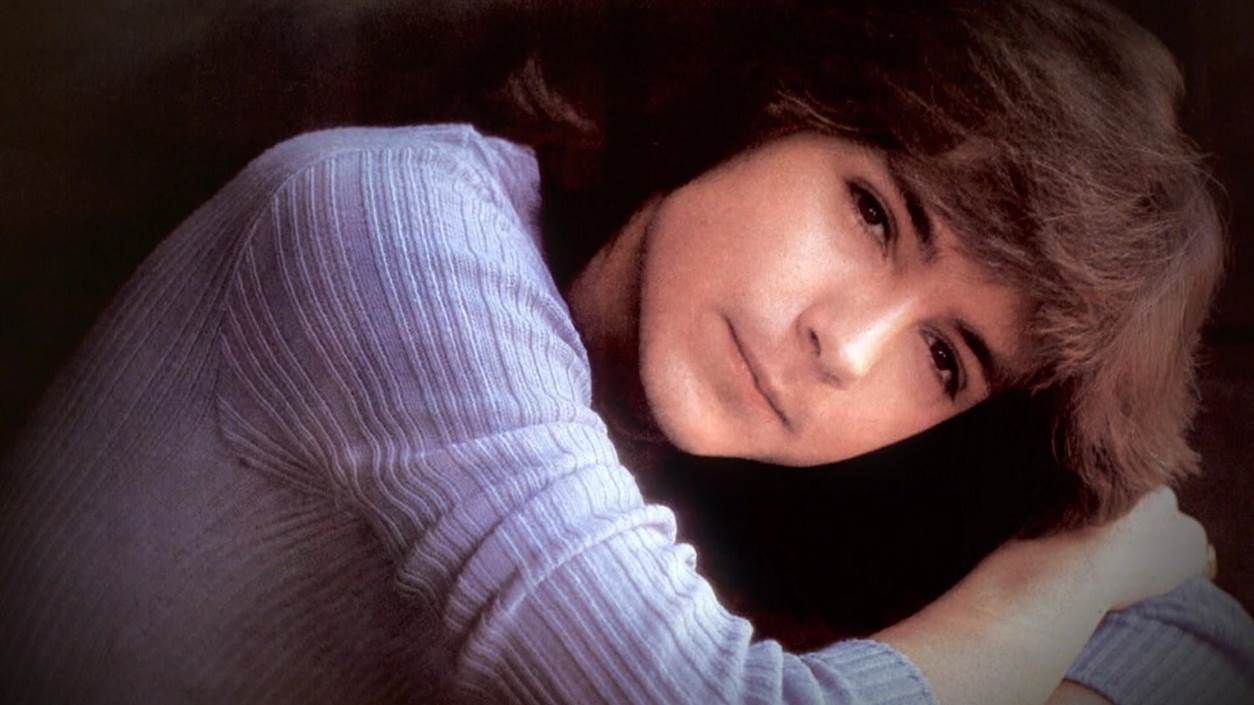 David Cassidy - The Council Chamber